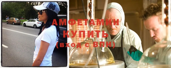 сатива Аркадак